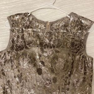 Beautiful Adrianna Pappell dress